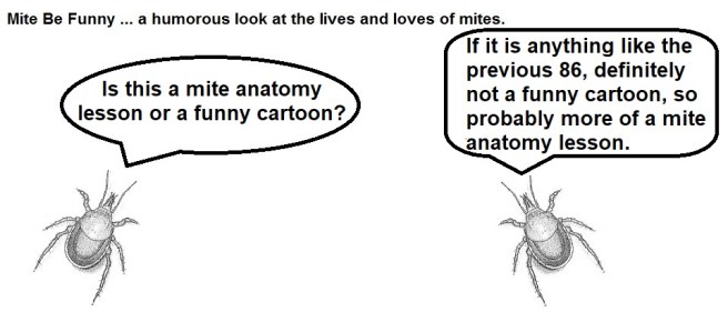 Mite Be Funny #87a Mouth