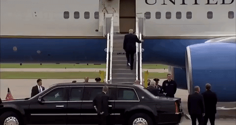 Trump Toilet Paper.gif