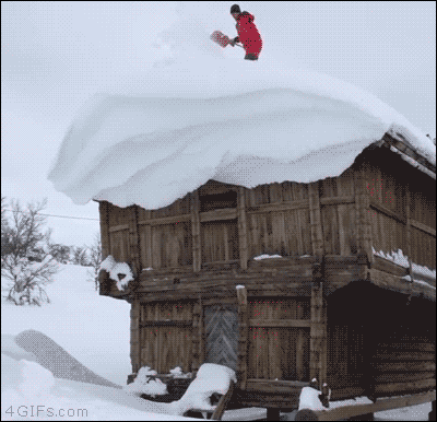 snow roof removal