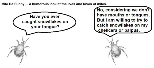 Mite Be Funny #96 Snowflakes