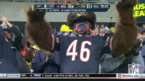 chicago bears