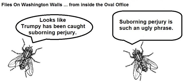 foww #138a suborning