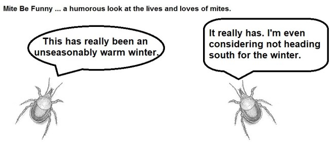 mite be funny #99a warm winter