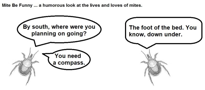 mite be funny #99b warm winter