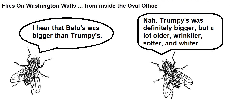 FOWW #140a Beto rally