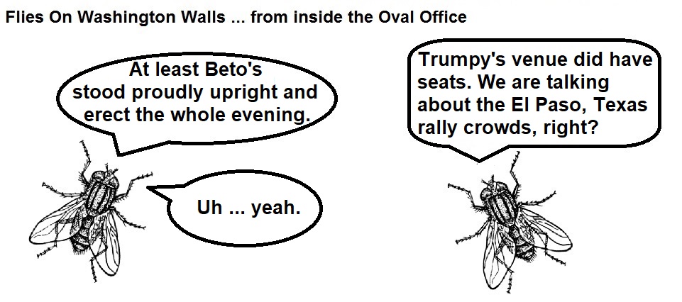 FOWW #140b Beto rally