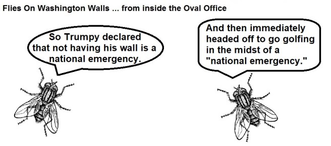 FOWW #141a National Emergency