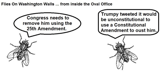 FOWW #141b National Emergency