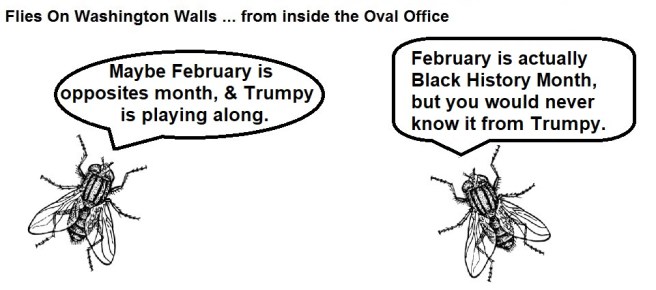 FOWW #141c National Emergency