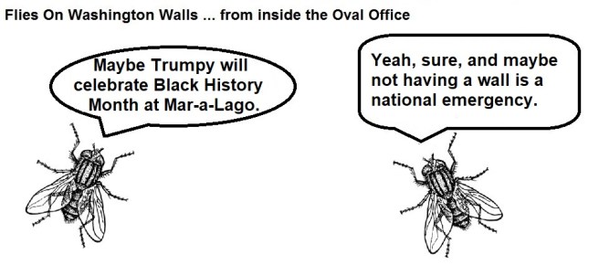 FOWW #141d National Emergency