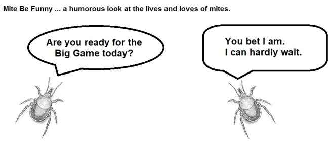 Mite Be Funny #102a Super Bowl