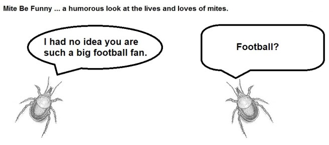 Mite Be Funny #102b Super Bowl