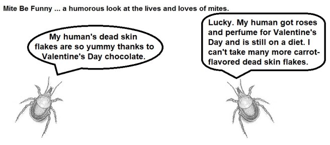 Mite Be Funny #104 Post Valentine's Day