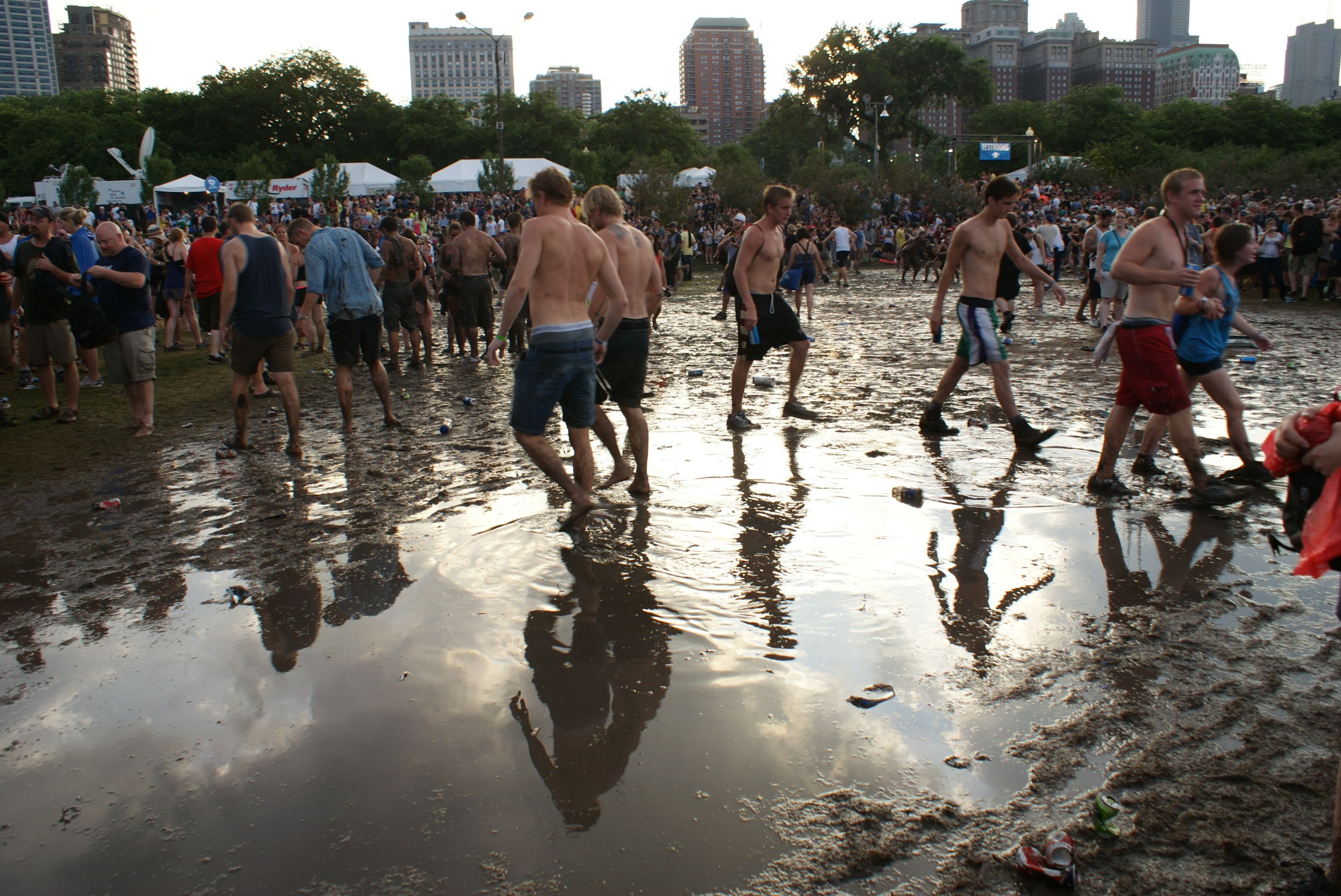 Lollapalooza swampy.jpg