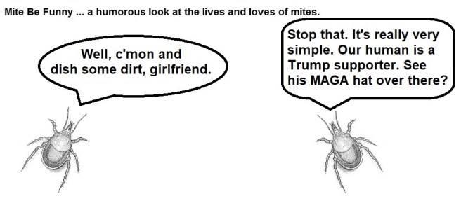 Mite Be Funny #106b Bitter