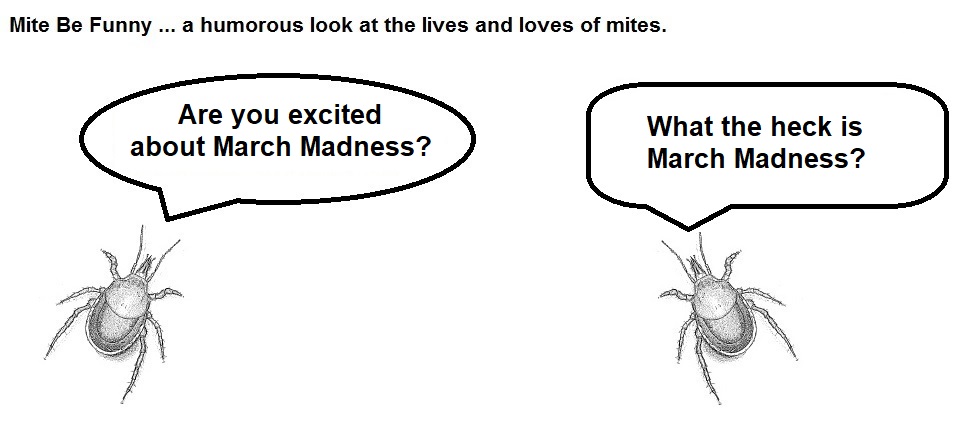 Mite Be Funny #108a March Madness