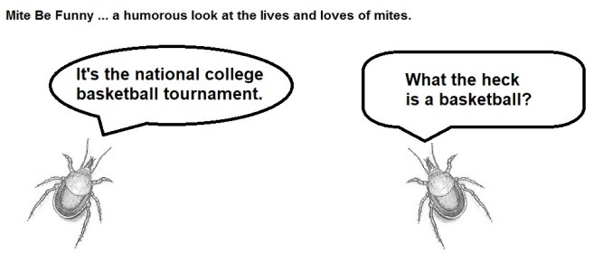 Mite Be Funny #108b March Madness
