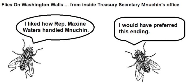 FOWW #148c Mnuchin Gravel