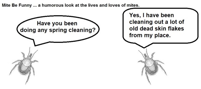 Mite Be Funny #111a Spring Cleaning