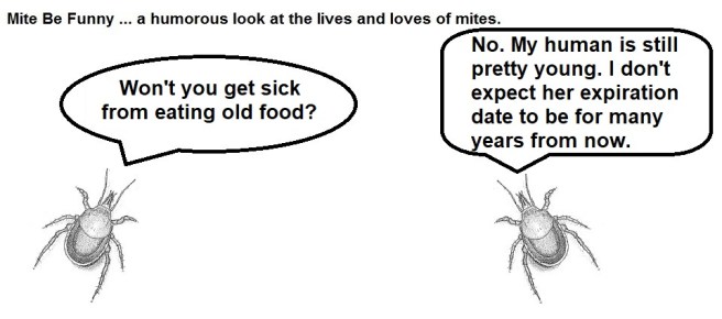 Mite Be Funny #111c Spring Cleaning