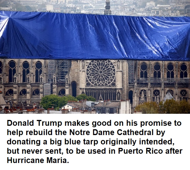 notre dame damage