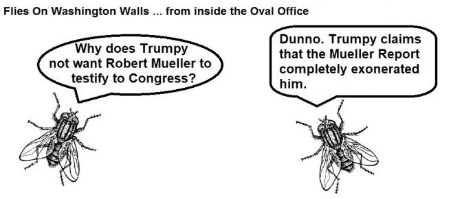 FOWW #151a Mueller