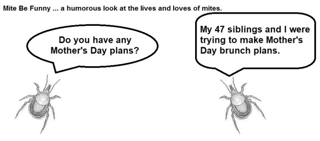 Mite Be Funny #116a - Mother's Day