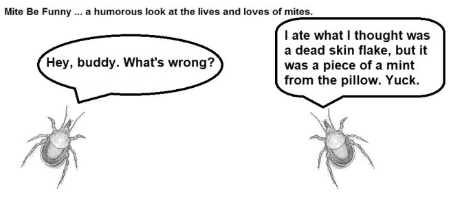 Mite Be Funny #118a Mint