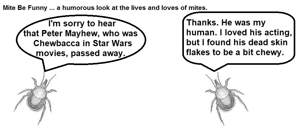 Mite Be Funny RIP Chewbacca