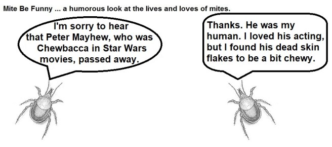 Mite Be Funny RIP Chewbacca