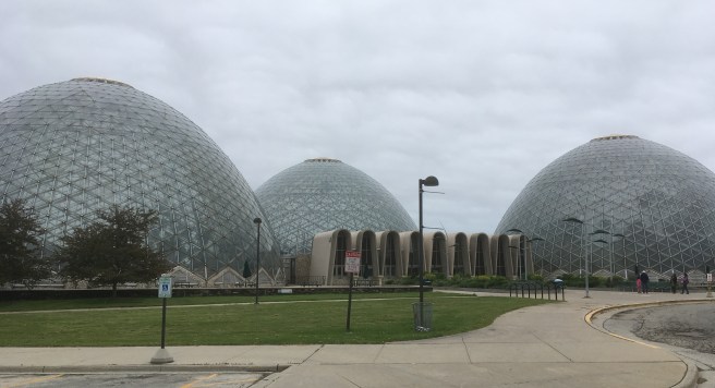 Domes