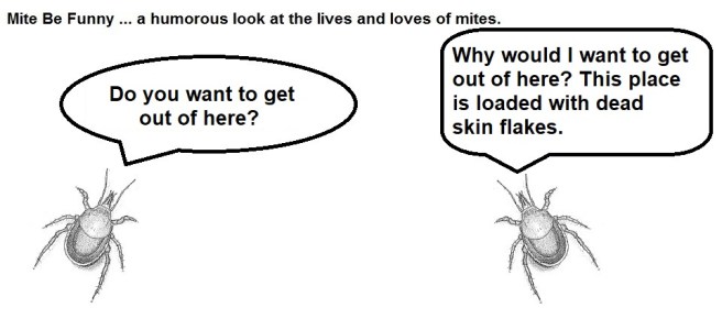 Mite Be Funny #119b Pick-Up Lines