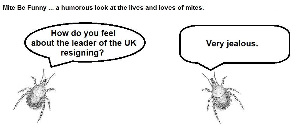 Mite Be Funny #120a Resignation