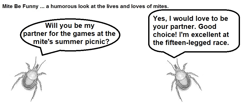 Mite Be Funny #122 Picnic Games