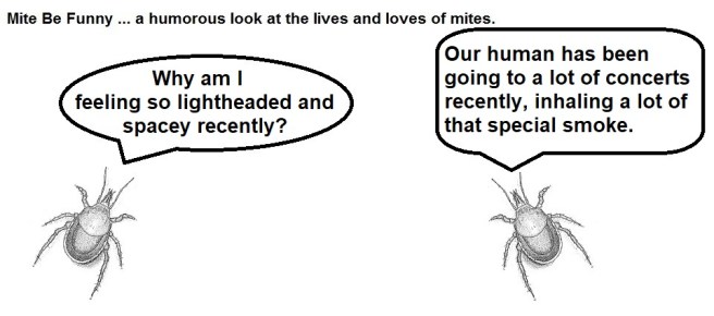 Mite Be Funny #127a Concert