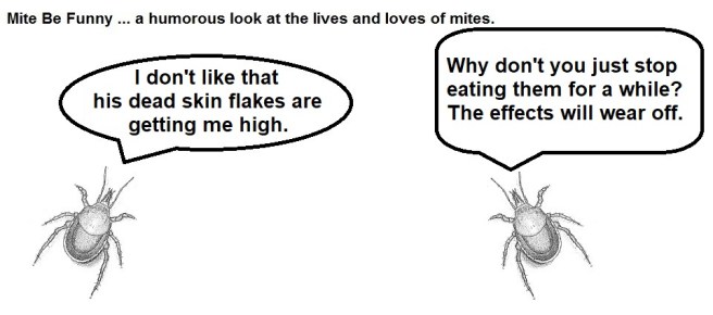 Mite Be Funny #127b Concert