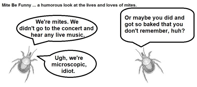 Mite Be Funny #127d Concert