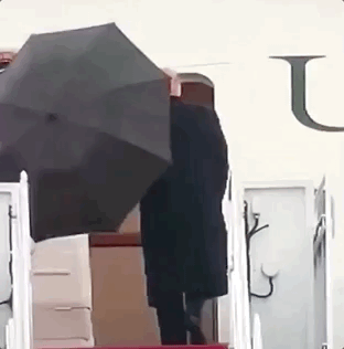 Trump umbrella.gif