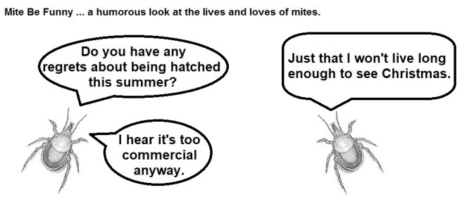 Mite Be Funny #131 Summer Hatch