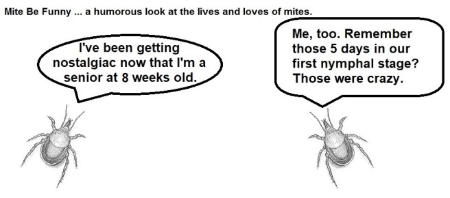 Mite Be Funny #135 - Nostalgia