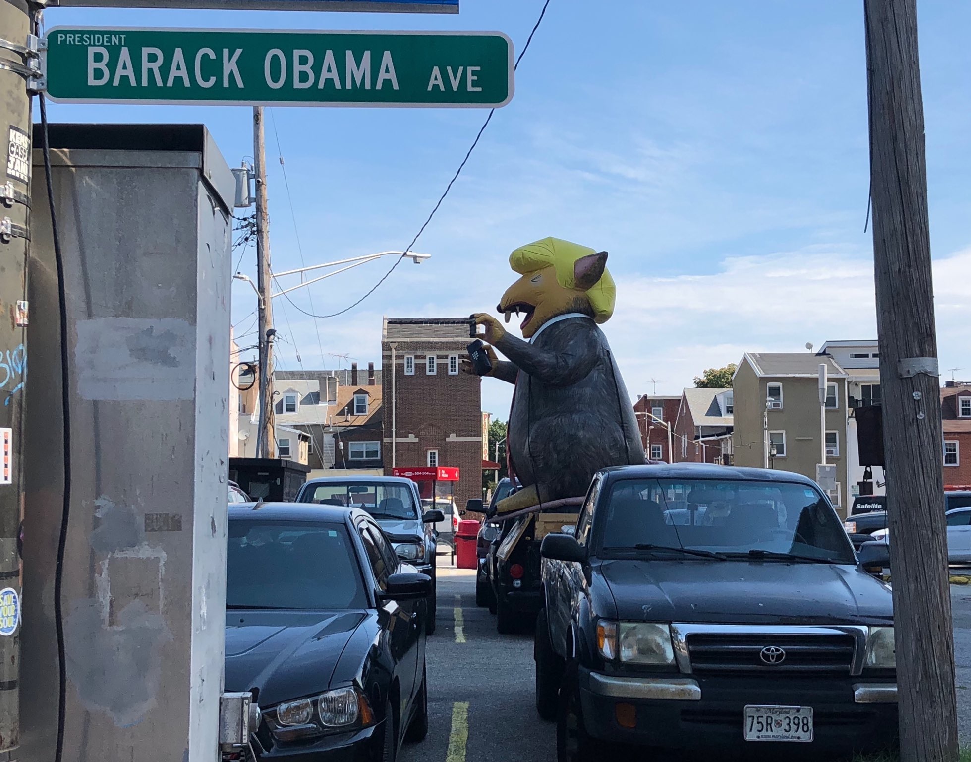 Rat in Baltimore.JPG