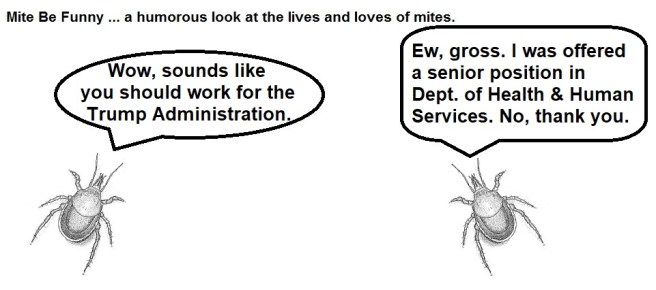 Mite Be Funny #137b Healthcare