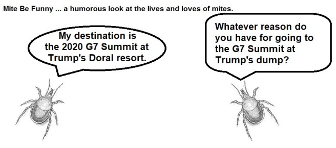 Mite Be Funny #139b G7