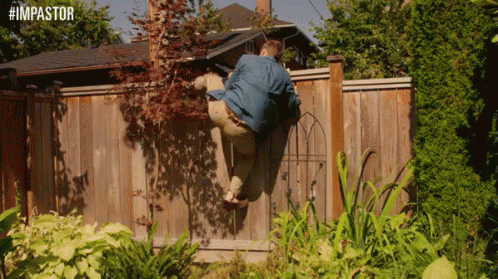 wall climb fail.gif