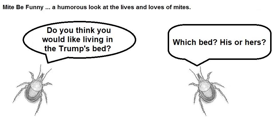 Mite Be Funny #146a Trump Bed