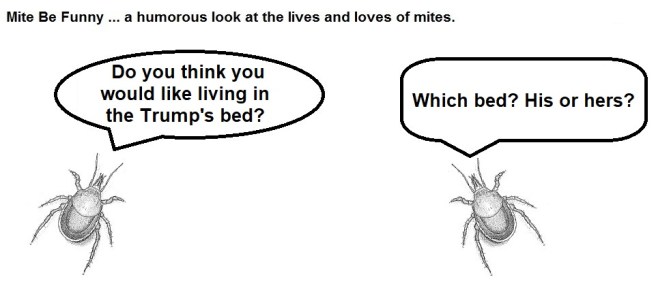 Mite Be Funny #146a Trump Bed