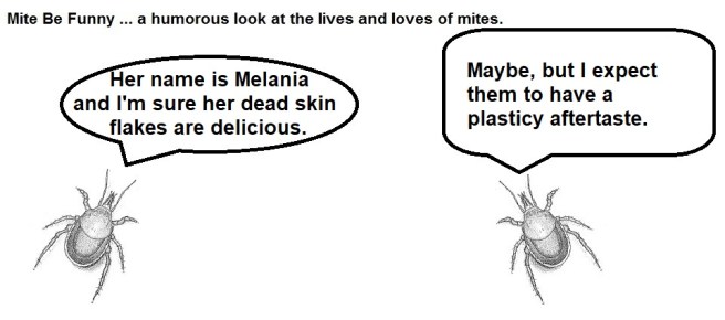 Mite Be Funny #146c Trump Bed