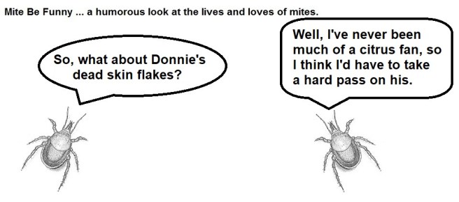 Mite Be Funny #146d Trump Bed