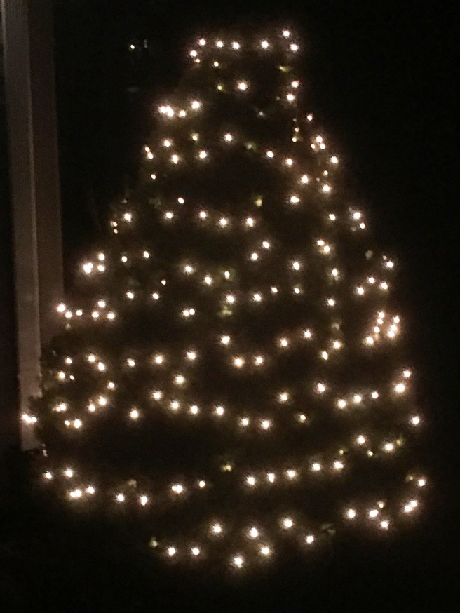 Tree3