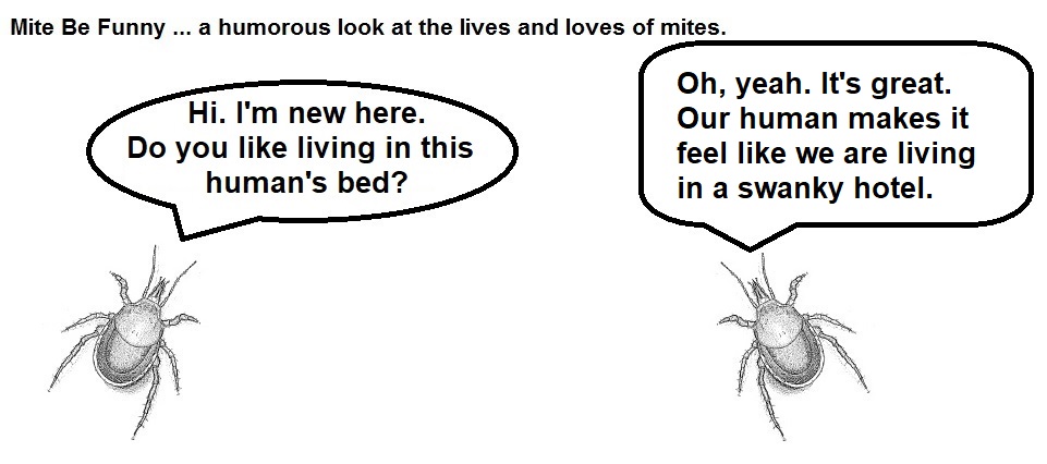 Mite Be Funny #150a Hotel